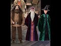 Harry Potter e o Feitiço do Tempo: A série, EP1 TP1