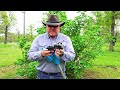 2024 Cordless String Trimmer Review. Live Testing!