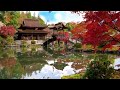 Japanese Garden Relaxing music for deep sleep