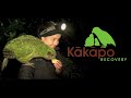Sirocco the Kakapo is coming to Maungatautari from 19th August to 26 September 2012