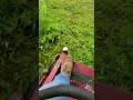 mowing some tall weeds  and having fun  .