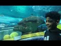 Went To Ripleys Aquarium For My Birthday | Elijah Gamez