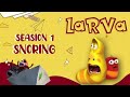 Sweet or Sour Lemon - LARVA SEASON 1 - Larva New - CARTOONS MOVIE  -  Larva in 120 Minutes!