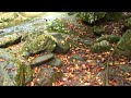 Relaxing Music,  Great Smoky Mountains Relaxation Video, Beautiful  Scenery - 1 hour HD