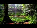 Forest rain and fountain sounds with Binaural waves and  Birds Chirping - Relaxing nature sounds.