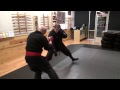 Budo Taijutsu - Kamae in Martial Arts