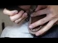 Making HANDMADE Boots from Wild Boar | Japan