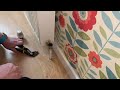 How To Bleed A Radiator - Don’t try it until you watch this