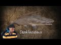 Flight reacts to dunkleosteus