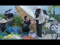 Harvesting Guava fruit gardens to the market to sell - Making garden | Lisa Bushcraft