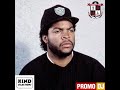 Hiphop 101 w/ Dj Dialog (Sponsored By Kind Selections & PromoDJ) UMFM 101.5 FM (ICE CUBE SPECIAL)