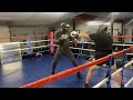 Pressure fighter vs counter puncher professional sparring boxing