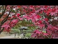 EP54. 벚꽃, 버드나무, 단풍 사계절을 모두담은 경주의 비경명소 / 보문정