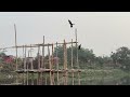 দিয়াবাড়ীর লেকে এক বিকেলের ভ্রমনগল্প - Rajuk Uttara Apartment Project Lake Area – Diabari Uttara