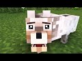 Minecraft Animals Life  - Minecraft animation
