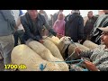 خروف العيد بثمن باهض بأكبر سوق في بني زروال