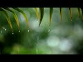 Relaxing Sleep Music with Rain Sounds / Meditation Music, Stress Relief, Relaxing Music
