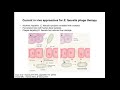 Phage and Antibiotics-Induction of an Antibacterial Type 7 Secretion System in Enterococcus faecalis