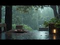 Just so quiet, watching the rain | Soft Rain for Sleep, Study and Relaxation