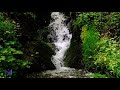 Waterfall Sounds | Amazing Sounds for Relaxing and Falling Asleep | 10 Hours White Noise | Full HD