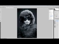 ★ PETER HONG : VIDEO TUTORIAL : CONTRASTY & MUTED COLOURS ★