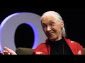 Dr. Jane Goodall, DBE, with Guy Kawasaki  | Dr. Jane Goodall & Guy Kawasaki | TEDxPaloAltoSalon