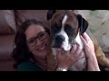 Tyson The Boxer Lives Up to His Name! | Full Episode | It's Me or the Dog