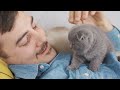 10 Unexpected Cat Love Behaviors 🐱❤️