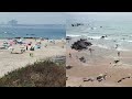 Viagem pelas praias da Costa Alentejana, de Melides a Porto Covo