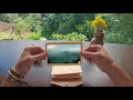 Bali Through My Eyes (POV) - GoPro HERO 6 (AWARDS WINNER)