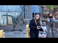 Raptor Encounter | Blue gets petted on her head again! Universal Studios Hollywood 2024