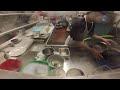 El Torito Dishwasher