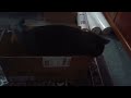 Pretty Black Cat loves being in a cardboard box really happy to be in a postal box such a cute cat
