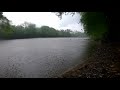 1-HOUR Relaxing Rain Sounds | River Fishing | Background Noise