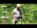 NO MORE COMFREY IN THE PERMACULTURE ORCHARD