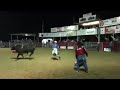 Bull ride 2