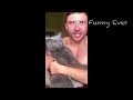Funniest Cats 😹 - Don't try to hold back Laughter 😂 - Funny Cats Videos #6