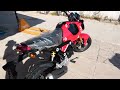 Unboxing HONDA MSX GROM 125cc mini motorcycle 2024