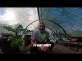 BUILDING A POLY TUNNEL - Greenhouse