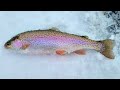 My First Time Ice Fishing in Colorado w/ @THELAFFCHANNEL | Ice Fishing Colorado