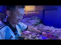 Thailand a kan zinna - 6 | Bangkok | Sea  Life  | Sukhumvit | Siam Paragon | Mizo Vlog | Bangkok -1