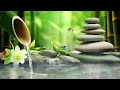 Beautiful Relaxing Music - Stop Overthinking, Stress Relief Music, Sleep Music, Nature Sounds