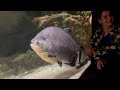 National Aquarium 2023 (Keeana’s BDAY)