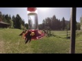 Surrounded by Hummingbirds - A 360 Video Experience | Wild Canadian Year