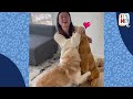 Pup Gets A GIANT Surprise That Looks Just Like Him! | Dodo Kids | It's Me!