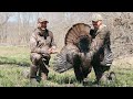 Bowhunting Huge Flocks of Turkeys, ISC Hunt Winner
