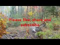 Fall 2019 Trail Cam Videos