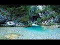 Secluded forest🌳 Sound of flowing water in valley💦🏝 (sleep, meditation, healing, ASMR)