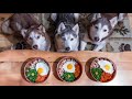 Home Made Dog Food Recipe Turkey and Eggs | Husky Squad