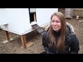 OUR DREAM CHICKEN COOP | Minimal Care Poultry Housing | DIY Efficient Design for Backyard Homestead